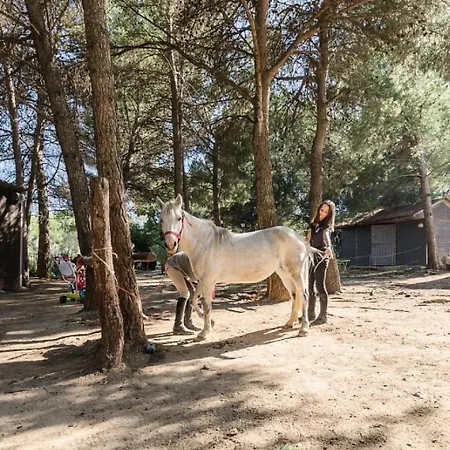 Les Maisons De Pont Royal En Provence - Maeva - Maison Climatisee Pour 8 Personnes Avec Jardin Privatif Et Terrasse Mae-2283 Apartment *